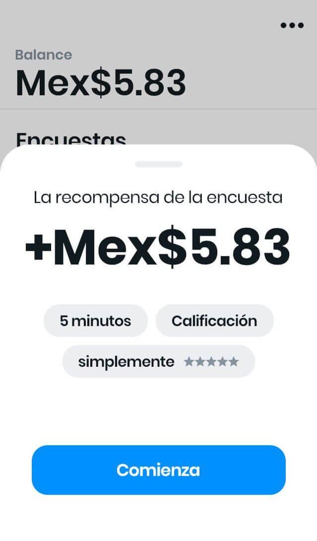 PAGO POR ENCUESTA